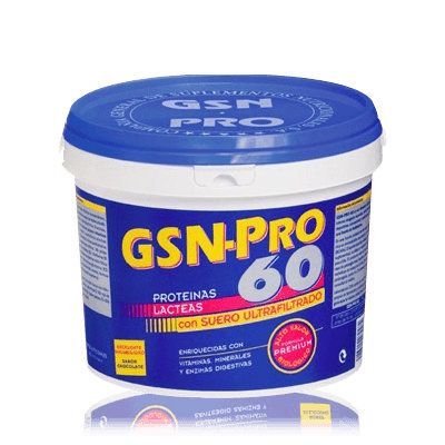 PROTEIN 60 FRESA GSN 1 KILO