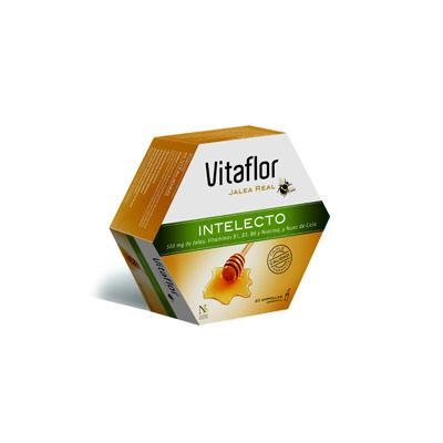 VITAFLOR INTELECTO 20 AMPOLLAS