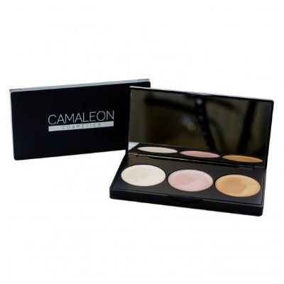 CAMALEON ILUMINADOR CREMA 3X2,5G PALETA
