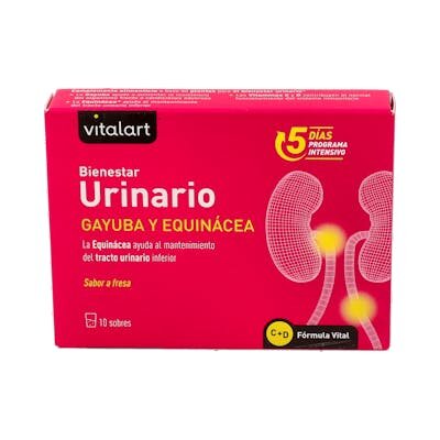 VITALART BIENESTAR URINARIO 10SBRS.